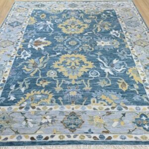 Transitional Rug Jacksonville Florida
