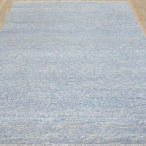 Transitional Rugs Jacksonville Florida
